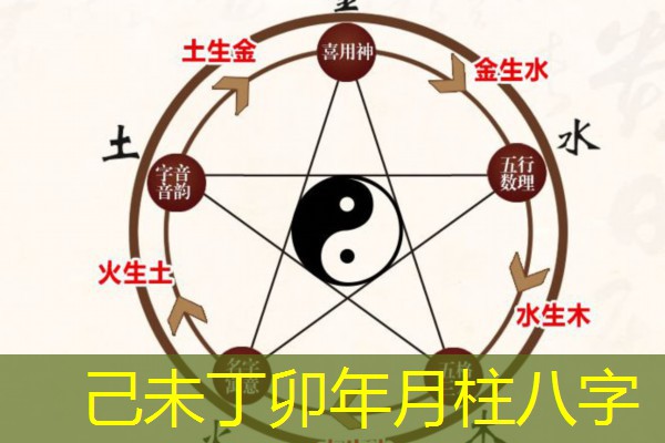  己未丁卯年月柱八字
