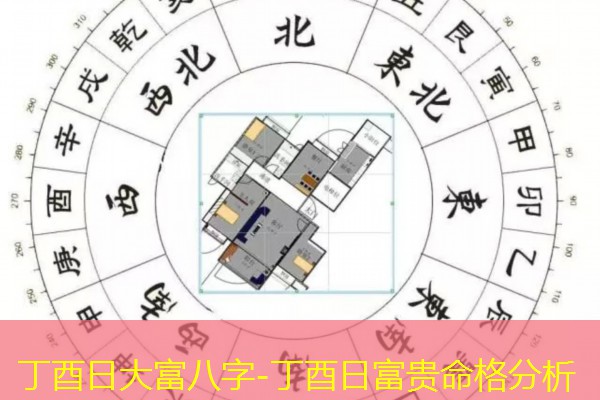  丁酉日大富八字-丁酉日富贵命格分析