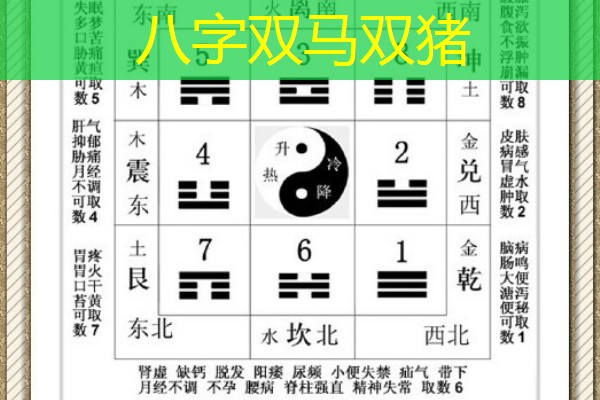  八字双马双猪