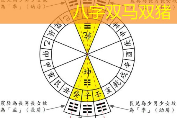  八字双马双猪
