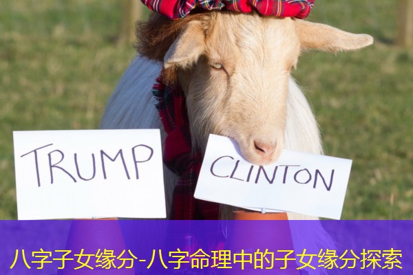  八字子女缘分-八字命理中的子女缘分探索