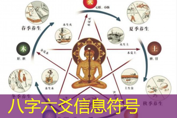  八字六爻信息符号