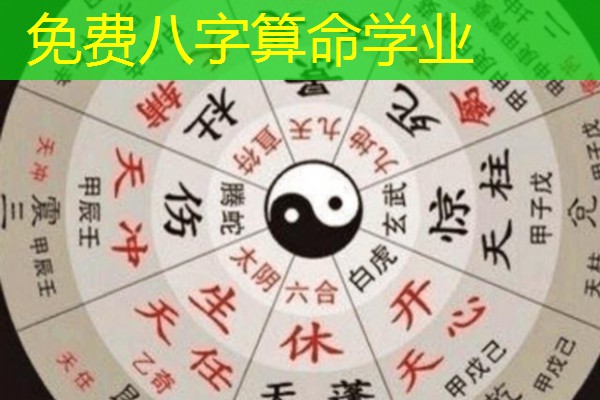  免费八字算命学业