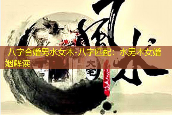  八字合婚男水女木-八字匹配：水男木女婚姻解读