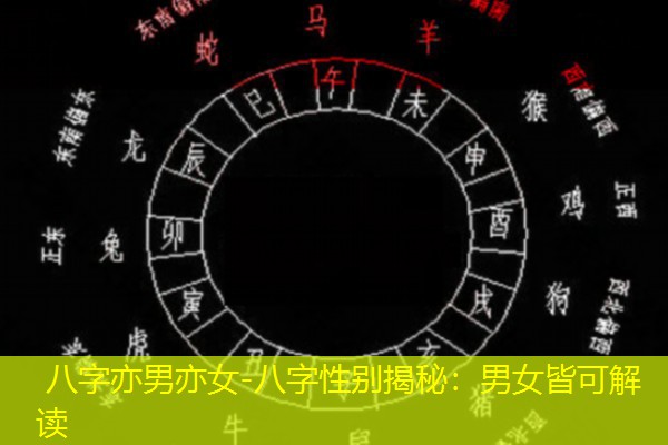  八字亦男亦女-八字性别揭秘：男女皆可解读