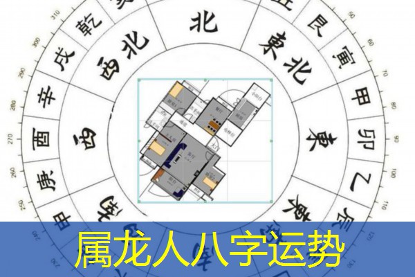  属龙人八字运势
