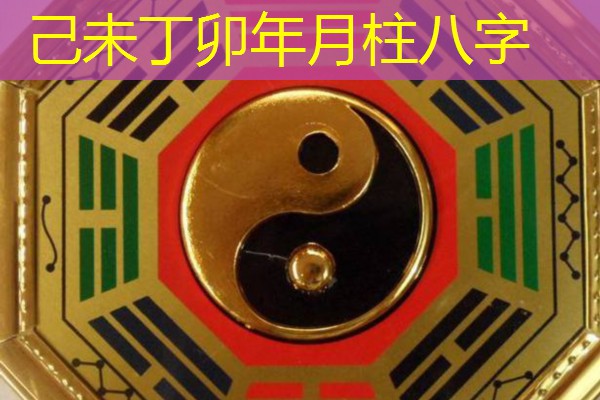  己未丁卯年月柱八字