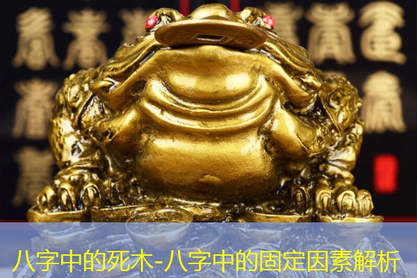  八字中的死木-八字中的固定因素解析