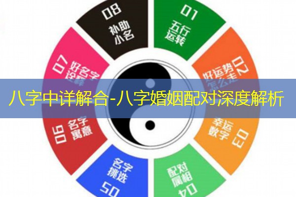  八字中详解合-八字婚姻配对深度解析
