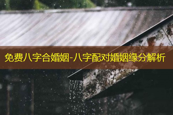  免费八字合婚姻-八字配对婚姻缘分解析