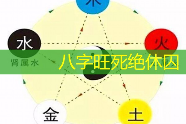  八字旺死绝休囚
