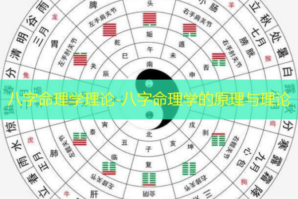  八字命理学理论-八字命理学的原理与理论