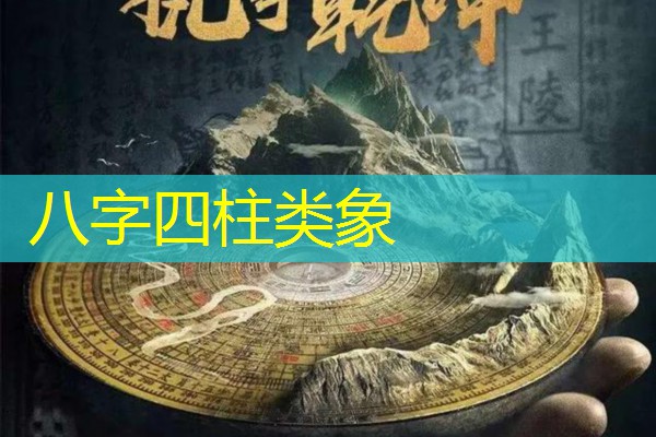  八字四柱类象