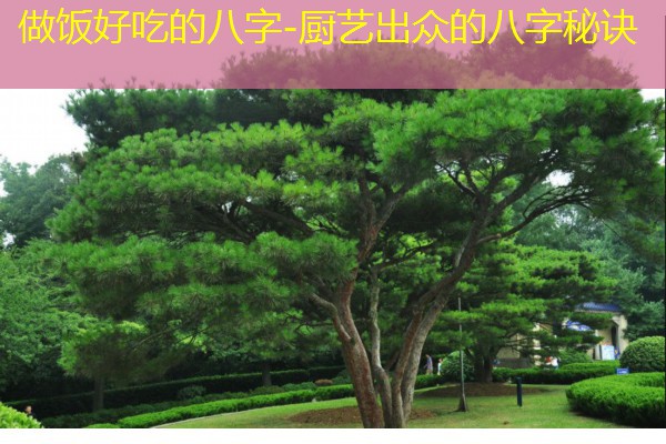  做饭好吃的八字-厨艺出众的八字秘诀