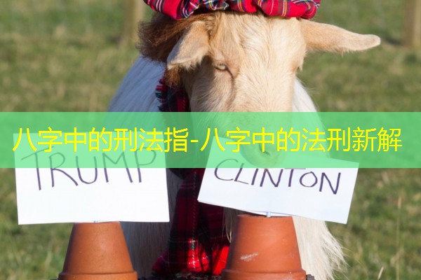  八字中的刑法指-八字中的法刑新解