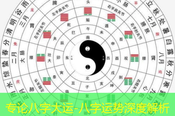  专论八字大运-八字运势深度解析