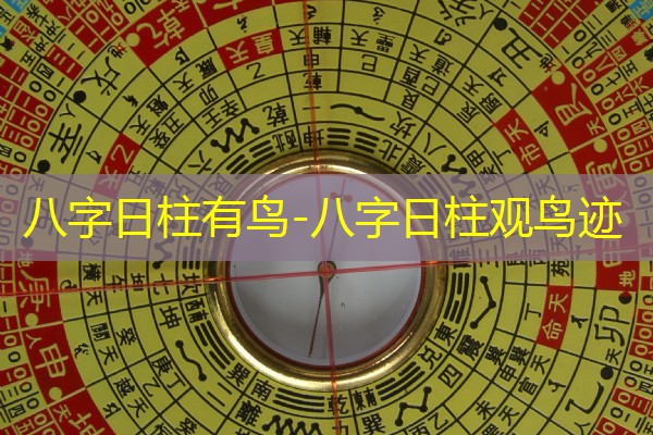  八字日柱有鸟-八字日柱观鸟迹
