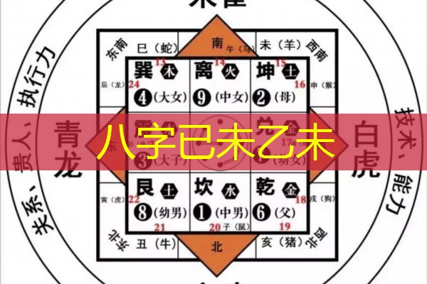  八字已未乙未