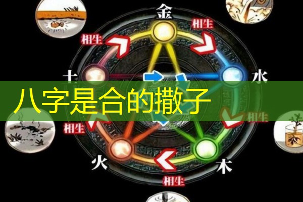  八字是合的撒子