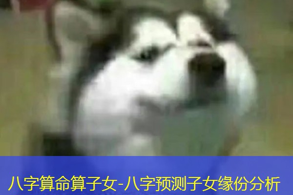  八字算命算子女-八字预测子女缘份分析