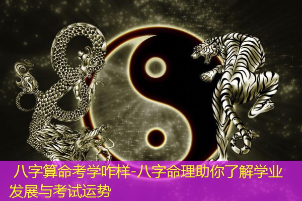  八字算命考学咋样-八字命理助你了解学业发展与考试运势