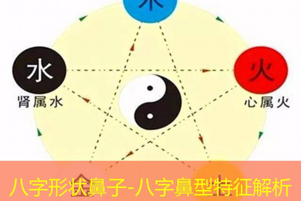  八字形状鼻子-八字鼻型特征解析