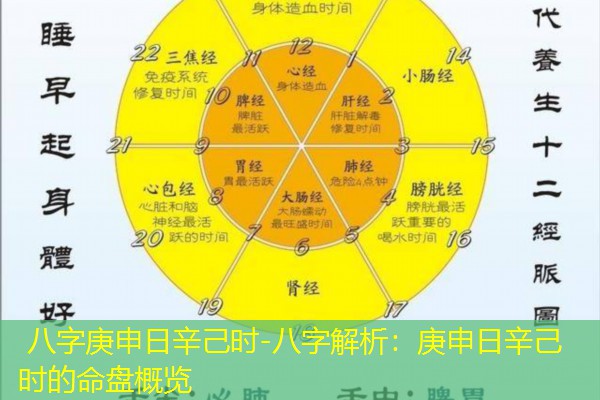  八字庚申日辛己时-八字解析：庚申日辛己时的命盘概览