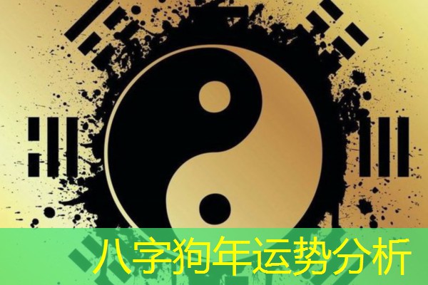  八字狗年运势分析