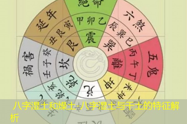  八字湿土和燥土-八字湿土与干土的特征解析