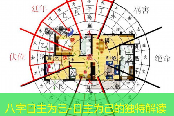  八字日主为己-日主为己的独特解读