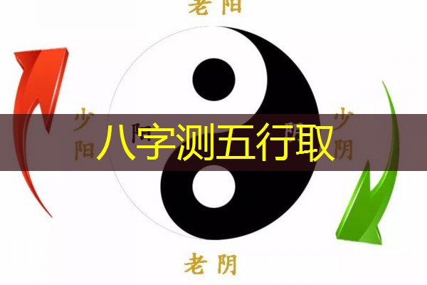  八字测五行取