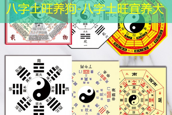  八字土旺养狗-八字土旺宜养犬