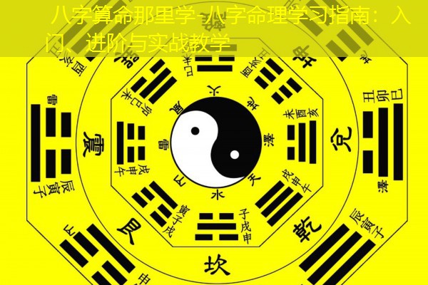  八字算命那里学-八字命理学习指南：入门、进阶与实战教学