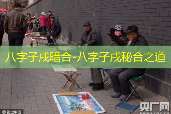  八字子戌暗合-八字子戌秘合之道