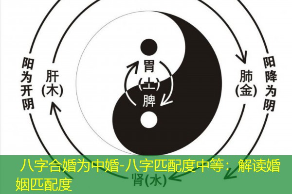  八字合婚为中婚-八字匹配度中等：解读婚姻匹配度
