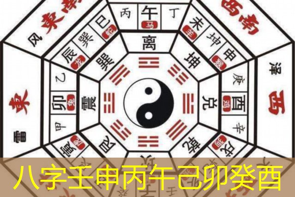  八字壬申丙午己卯癸酉