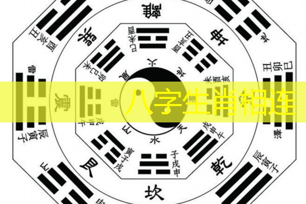  八字生肖相连