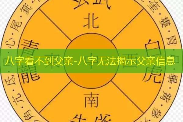  八字看不到父亲-八字无法揭示父亲信息