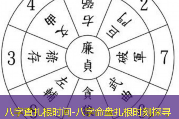  八字查扎根时间-八字命盘扎根时刻探寻