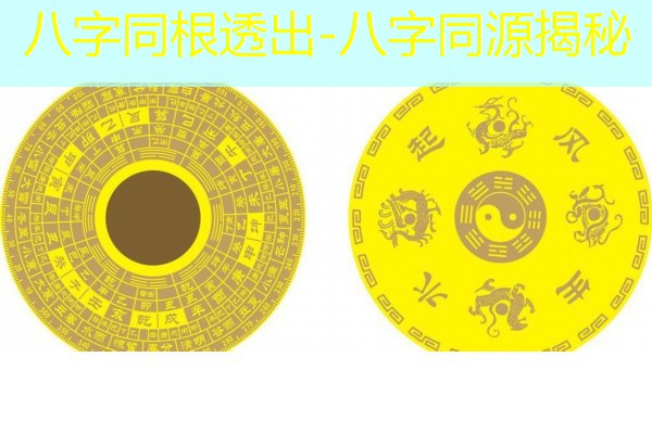  八字同根透出-八字同源揭秘