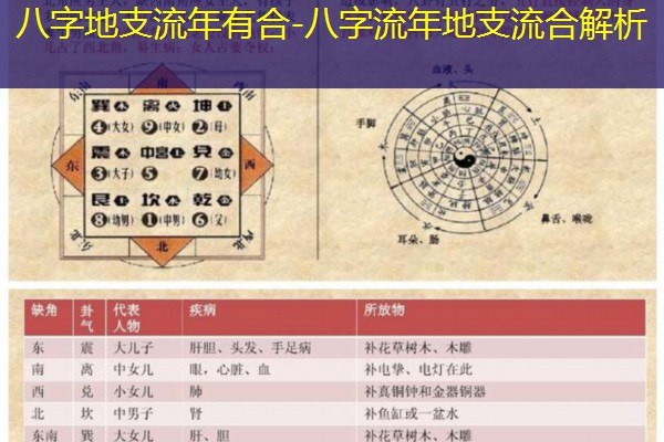  八字地支流年有合-八字流年地支流合解析