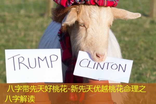  八字带先天好桃花-新先天优越桃花命理之八字解读