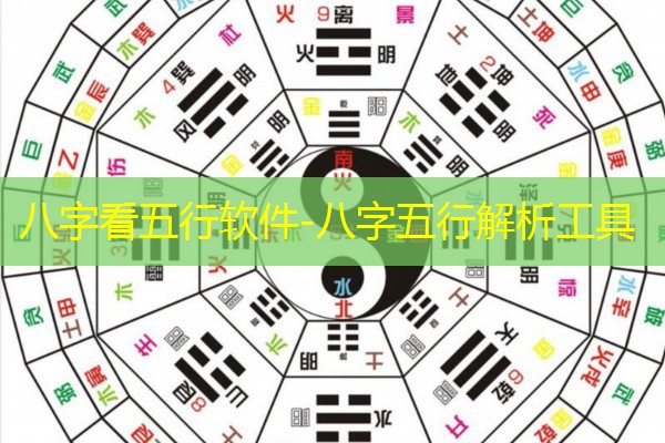  八字看五行软件-八字五行解析工具