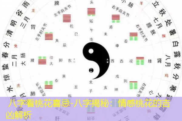  八字看桃花喜忌-八字揭秘：情感桃花的吉凶解析