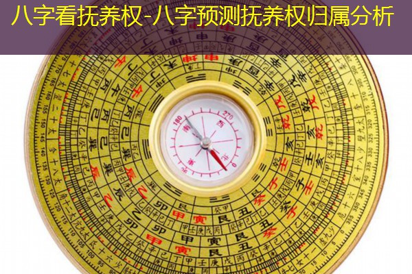  八字看抚养权-八字预测抚养权归属分析