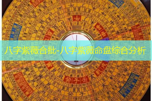  八字紫薇合批-八字紫薇命盘综合分析