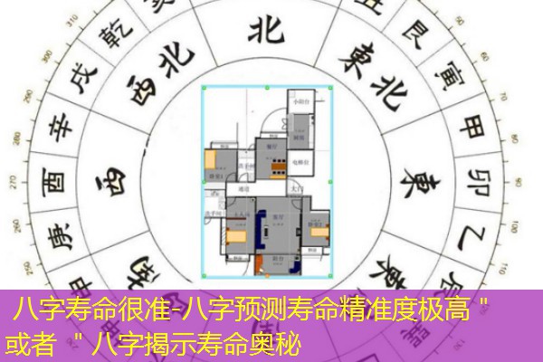  八字寿命很准-八字预测寿命精准度极高＂ 或者 ＂八字揭示寿命奥秘