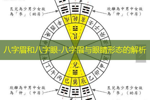  八字眉和八字眼-八字眉与眼睛形态的解析