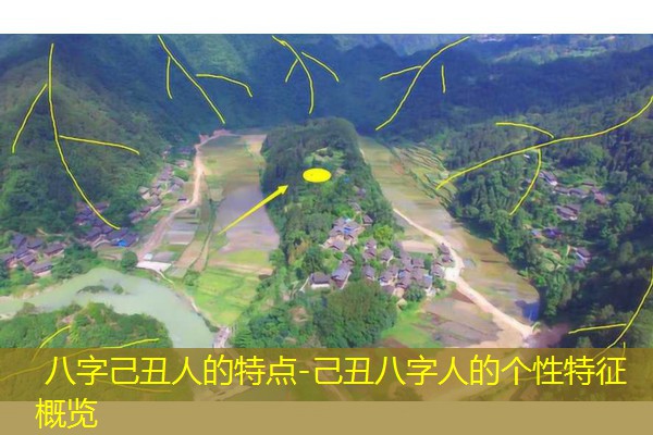  八字己丑人的特点-己丑八字人的个性特征概览