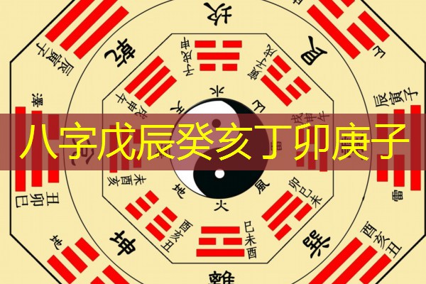  八字戊辰癸亥丁卯庚子